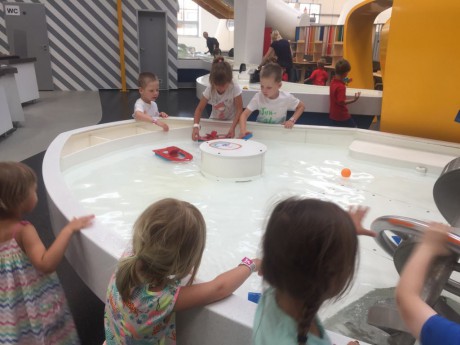 62448005_386263988662583_4180350407169540096_n