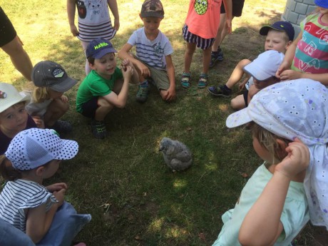 65456821_597526020770420_8198342177147846656_n