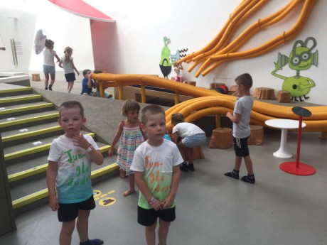 65465075_355790808440120_3652760494294433792_n