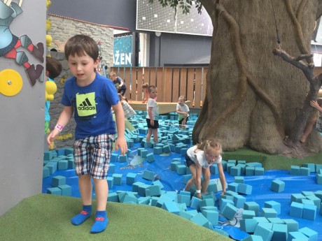 65482281_2896576387080735_4075052094132846592_n