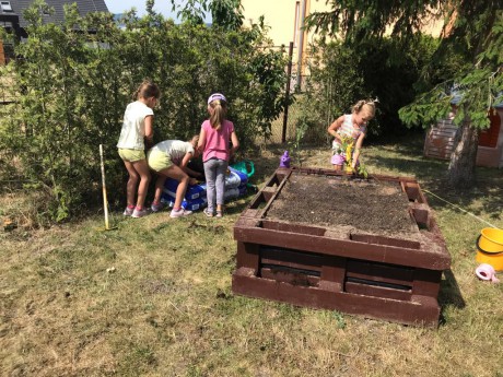 65482607_347224815949860_2794686896830152704_n