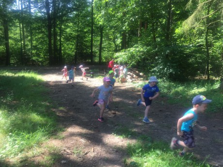 65506340_651798288564392_911523000879153152_n