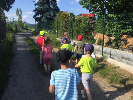 65557533_2319891671423455_3031228952187240448_n