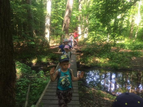 65561887_407985799813669_6170040113515462656_n