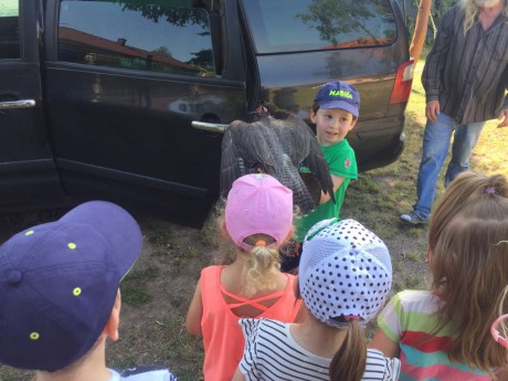 65563917_327586981510672_5074049130561536000_n