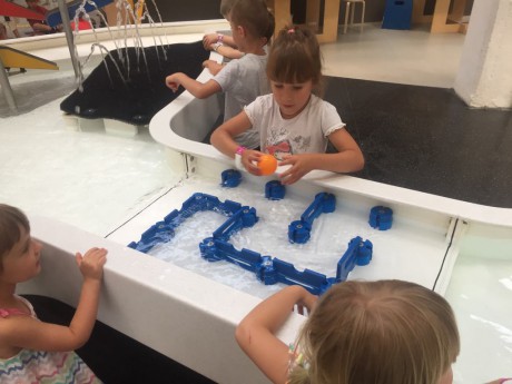 65573654_358603464805806_7015136806597296128_n