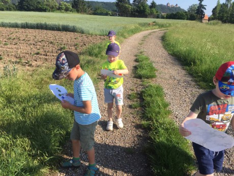 65575533_455503718618831_3990244327036026880_n