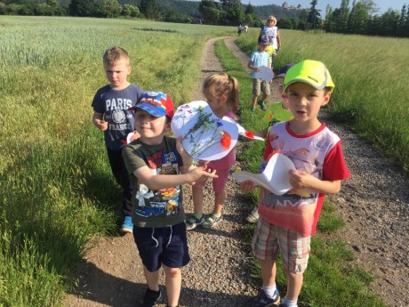 65649761_344984322846233_20215470464434176_n