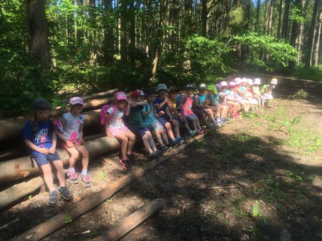 65655742_462742904526152_6628208404106051584_n