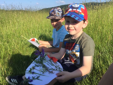 65705487_2841227969282561_2979354337186152448_n