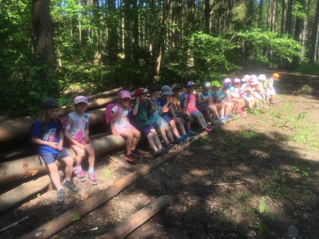 65709524_402340383708398_8858754915724427264_n