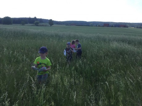 65730885_2290136217775291_407419751590002688_n