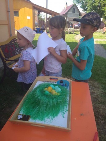 65757532_2486361558077322_1321615596516802560_n