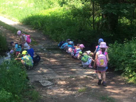 65763271_2347235818866146_4973360434124947456_n