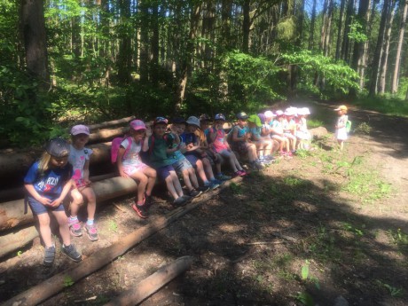 65786031_729516624129579_6615762812947922944_n