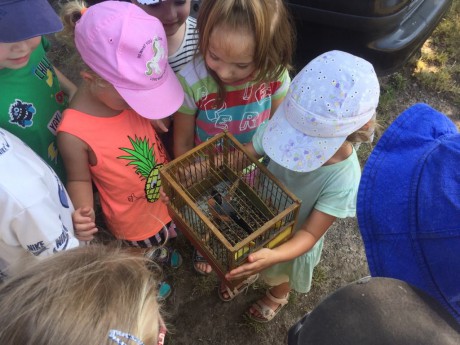 65817804_436492657202134_751330672177577984_n