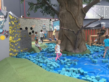 65833848_873274929705388_7020988703833063424_n