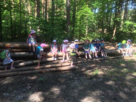 65839281_676512682813509_1514251360848052224_n