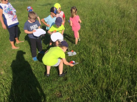 65860799_2421293658106726_447427573815705600_n