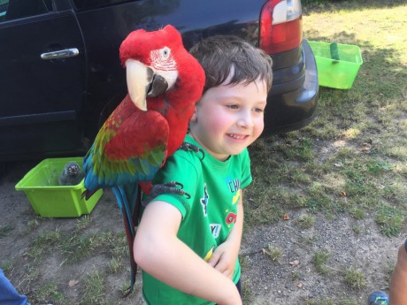 65885942_364006907594304_5100909168835952640_n