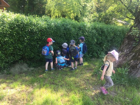 65916582_2436543893034370_6228496057228066816_n