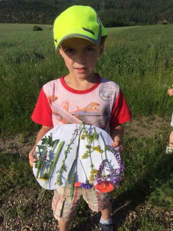 65955619_366389320744052_8972511389461512192_n