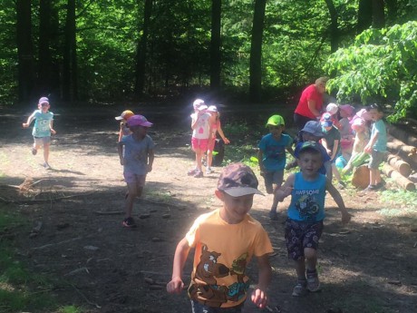 65965638_2356344451358258_5910861656363106304_n