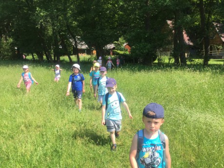 65972735_428006921117599_6706082015222956032_n