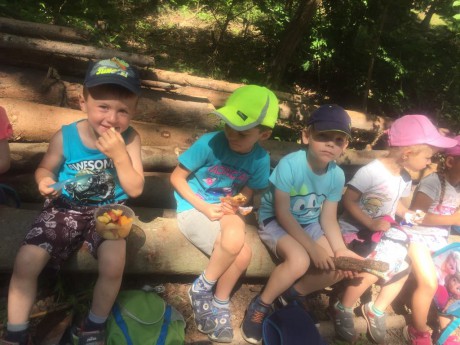 65994999_2537521389631688_1585430711383359488_n