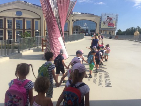 66027808_2067728523531446_6013383195733524480_n