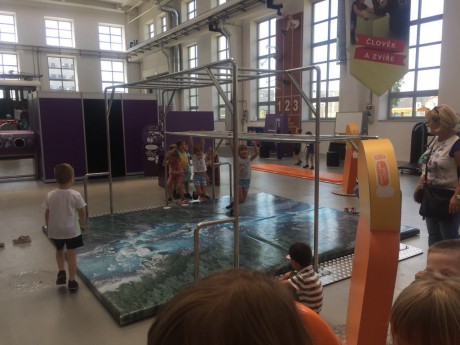 66045683_454111942047979_7554918521013010432_n