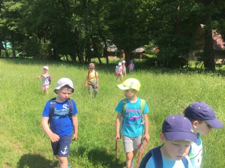 66115574_364143680963914_7352213433489555456_n