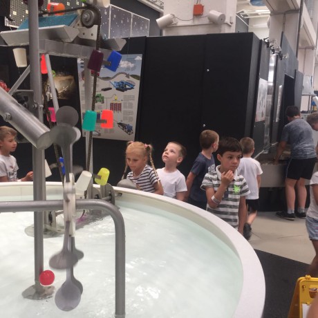 66150367_701301153638183_2118827033495601152_n