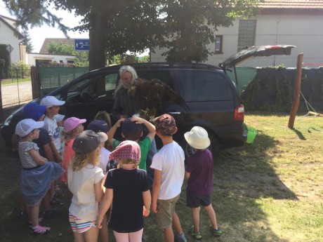 66175503_708886006225376_679653964429393920_n