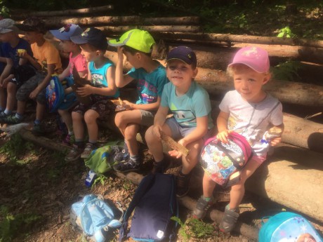 66264449_346538979356877_2959709307098103808_n