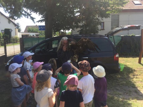 66274071_418032888790061_2661703095754424320_n