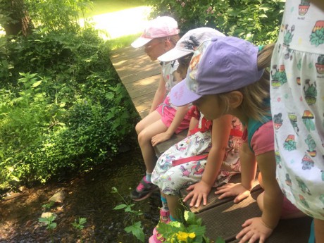 66413210_318310052409542_5370719667205701632_n (2)