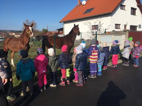 70822248_1439717162858183_2351971834146062336_n