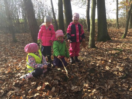 73177411_515519222637912_8005458966865772544_n