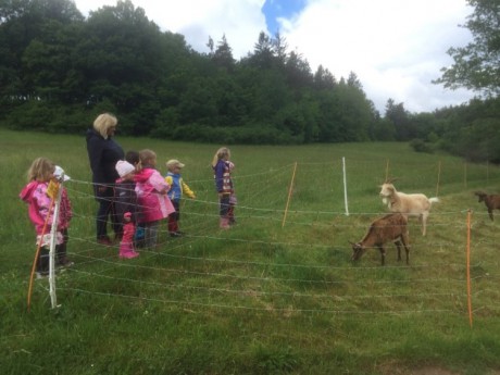 116251254_3051263351766857_2192805098209503079_n