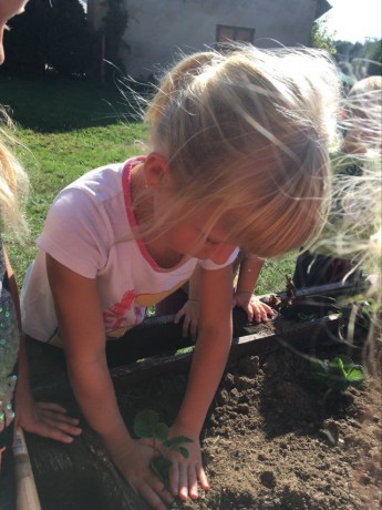 119179590_1709763239199511_2249166477956579383_n