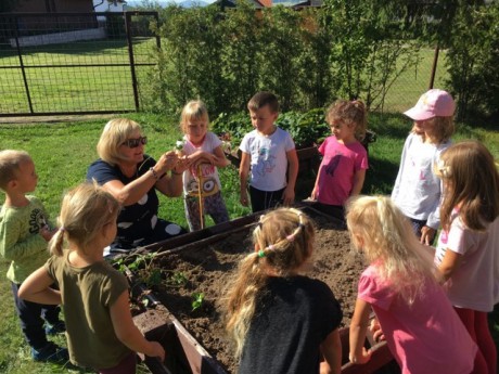 119180910_358253728535253_2742451275858359144_n