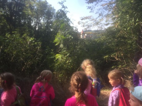 120039671_2713145089013635_1307887628062131475_n