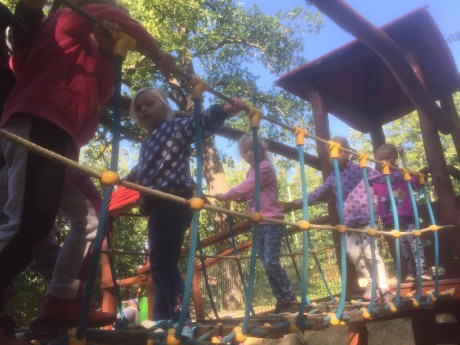 120041373_356443555736299_5890871898771234290_n