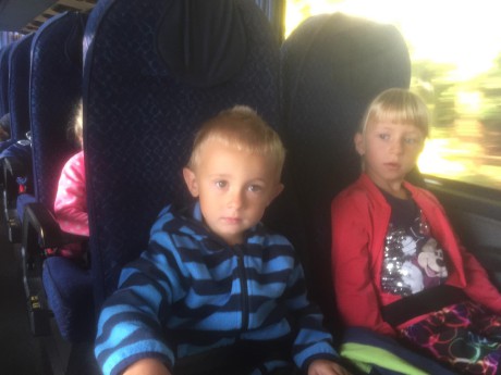 120053423_330732077999483_5332732197929273486_n