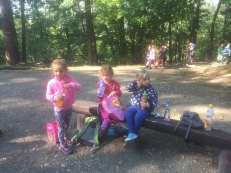 120060401_325622205382320_3102824149677238923_n