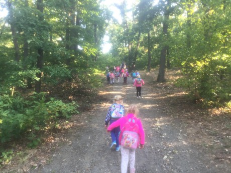 120147839_1007968229722773_8493243754197688936_n