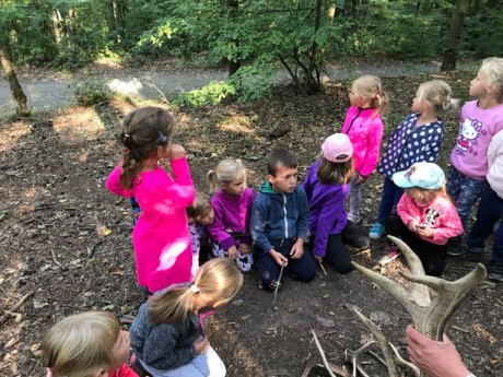 120566229_336559947457308_3869509078464456362_n