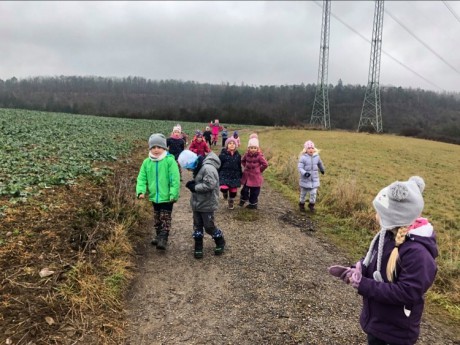 134474171_213496453755202_2982062607773330889_n