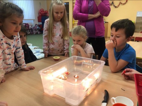 135209684_757931788150795_4943466713340953699_n